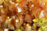 Striking Red-Orange Orpiment Crystal Cluster - Nevada #362128-1